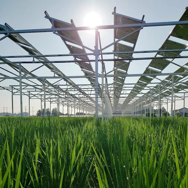 Aluminum Solar Ground Mounting System For Pv Solar Farm Projects With Durable Racking Structure