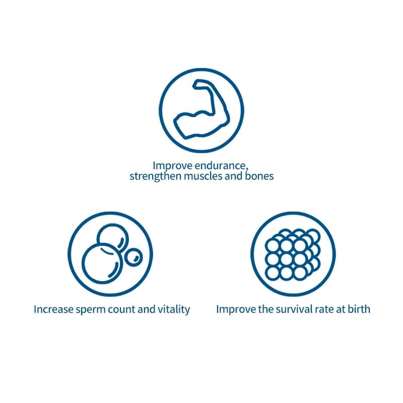 Premium Natural Breeding Support Pet Fertility Supplement For Dog And Cat Reproductive Wellness
